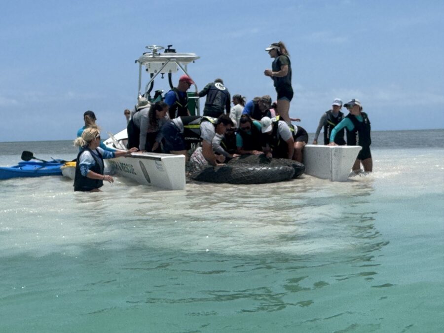 a group of people standing on top of a boat in the ocean