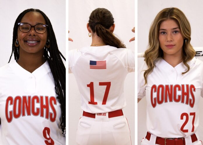 a woman wearing a baseball uniform with the number 17 on it