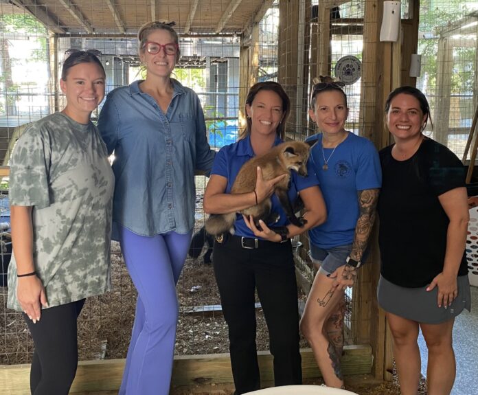 a group of women standing next to each other
