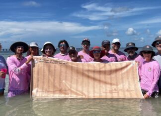 a group of people standing in the water