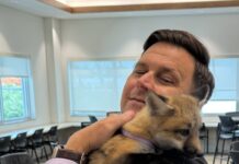 a man holding a baby fox in a classroom