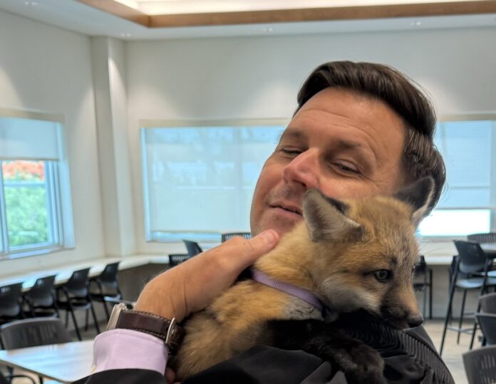 a man holding a baby fox in a classroom