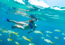 a woman swimming in the ocean surrounded by fish