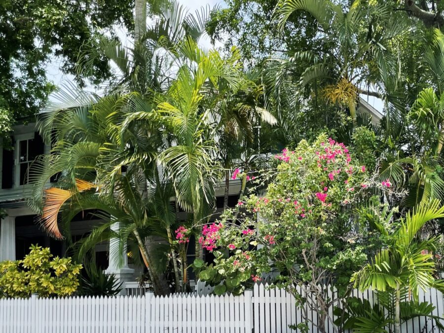 a white picket fence in front of a house