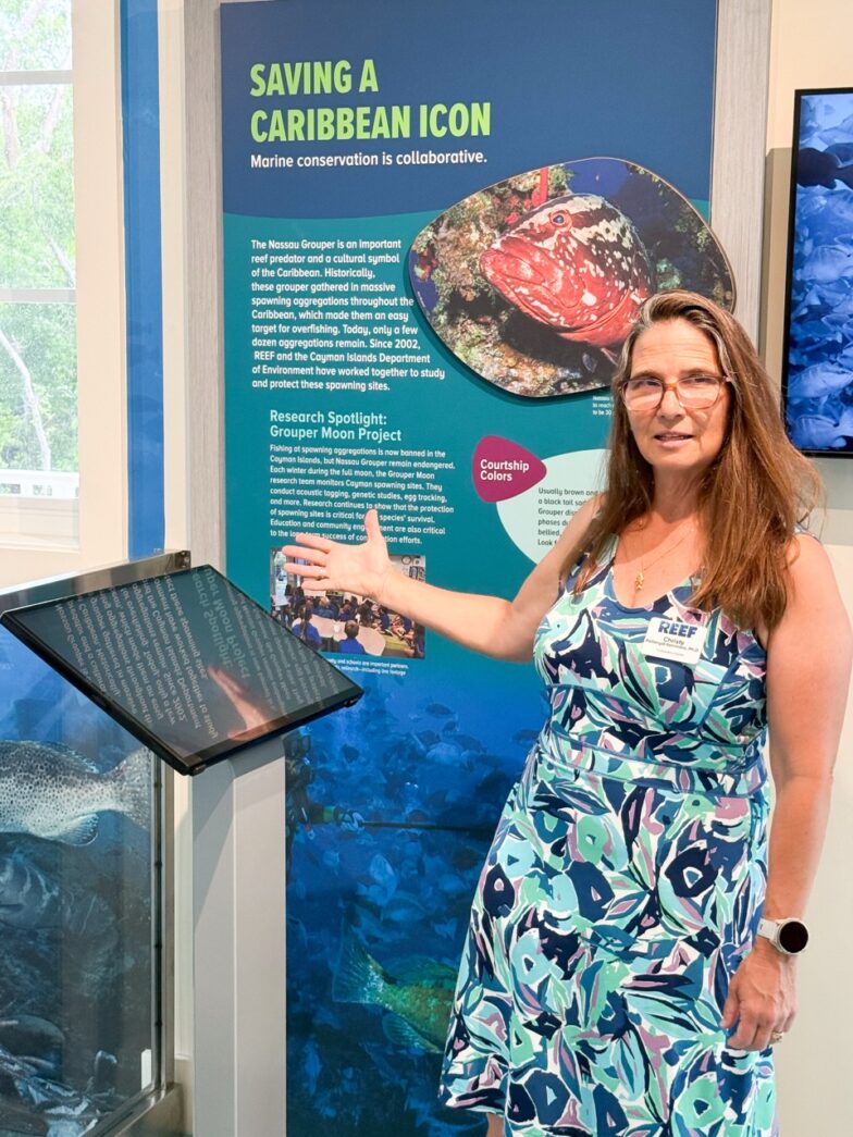 a woman standing in front of a display of marine life