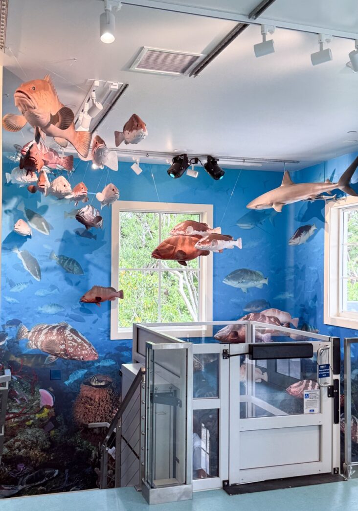 a room that has a bunch of fish on the wall