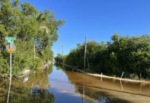 a flooded street with trees and a street sign