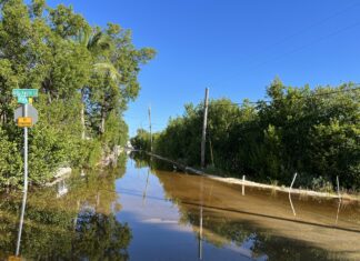 a flooded street with trees and a street sign