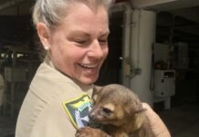 a woman holding a small animal in her arms