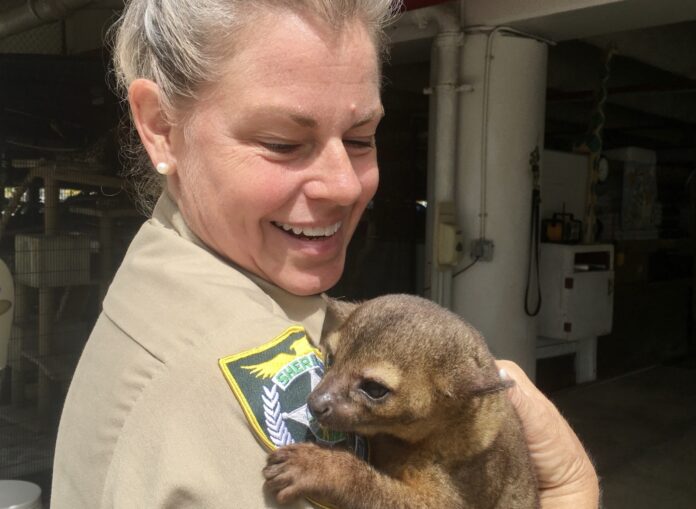a woman holding a small animal in her arms