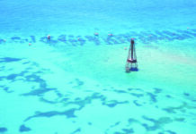 an aerial view of a sailboat in the water