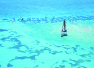 an aerial view of a sailboat in the water