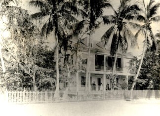 a large white house surrounded by palm trees