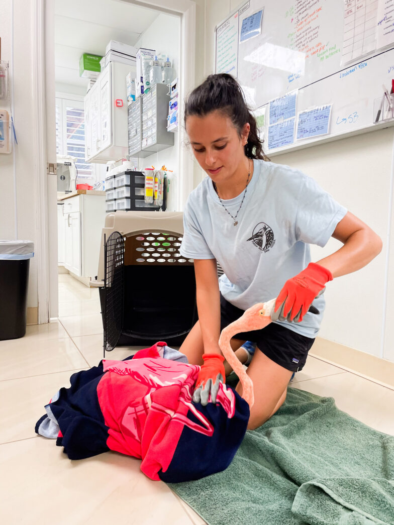 a woman in a white shirt and black shorts is doing something on the floor