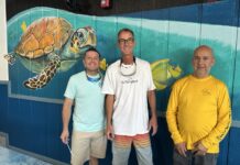 three men standing in front of a mural of a turtle