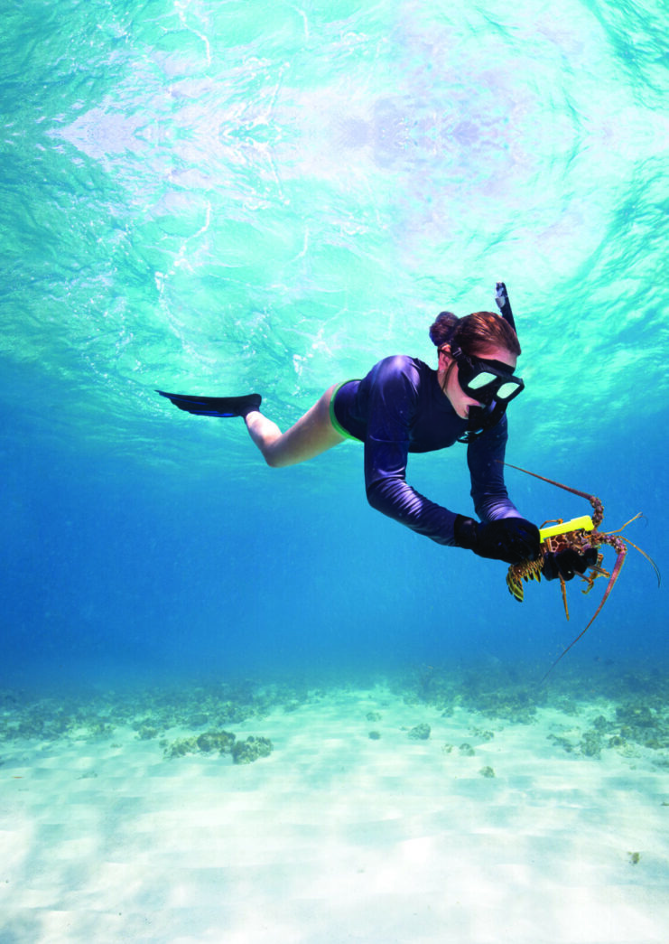a woman in a wet suit diving in the ocean