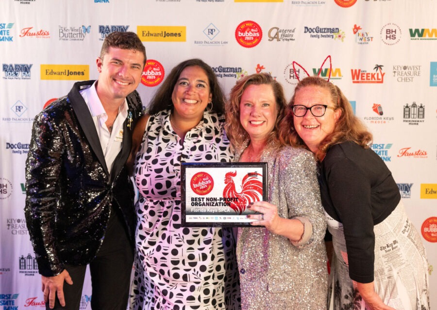 a group of people standing next to each other on a red carpet