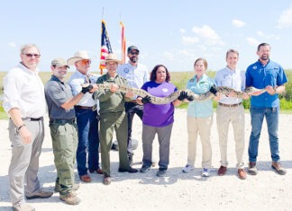 a group of people holding up a snake
