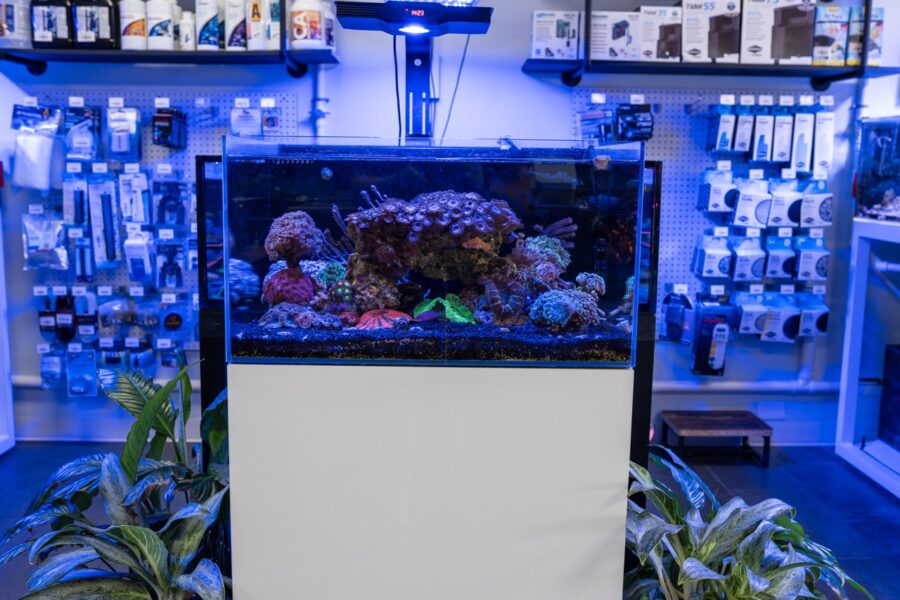a fish tank in the middle of a room
