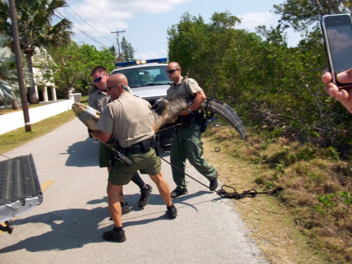 a group of men standing on the side of a road