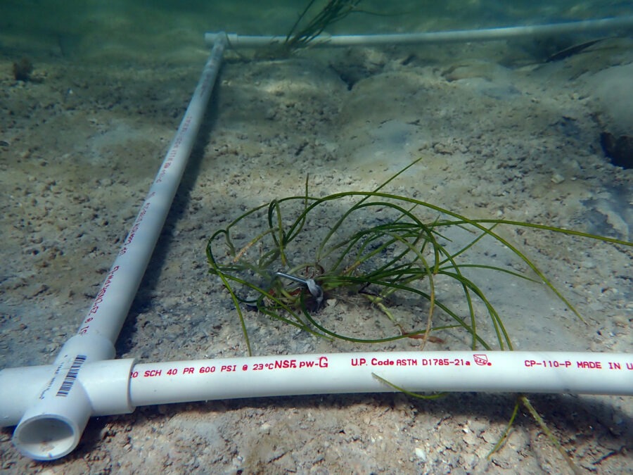 a pipe laying on the ground next to a body of water
