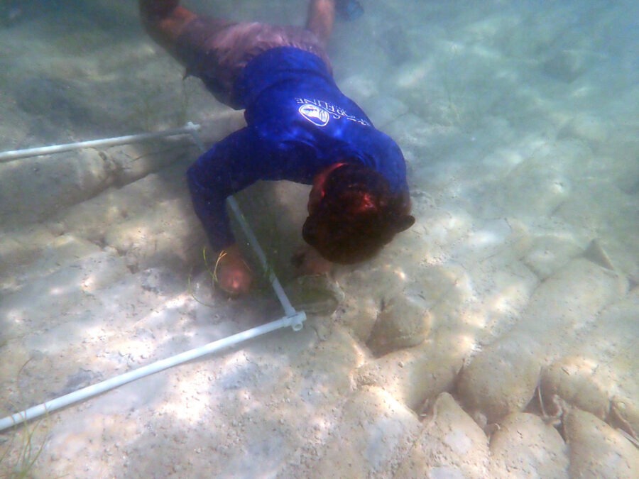 a man in a blue wetsuit diving in the water
