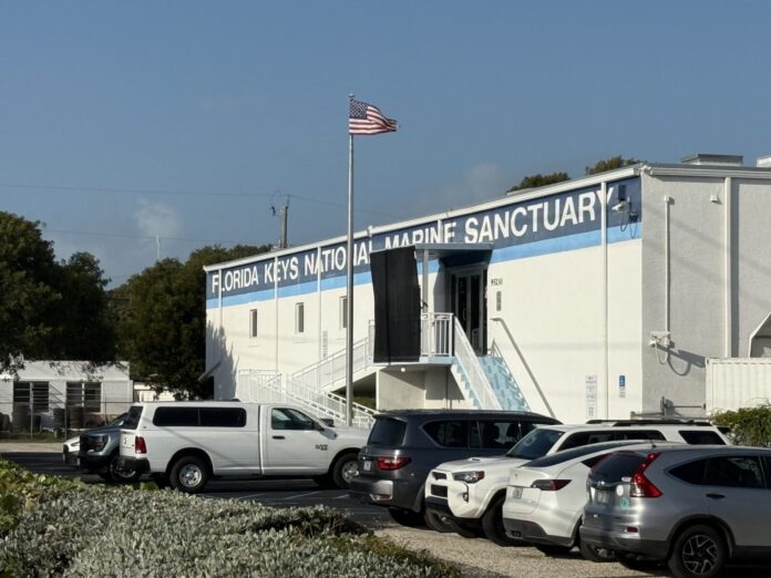 sanctuary building a bunch of cars parked in front of a building