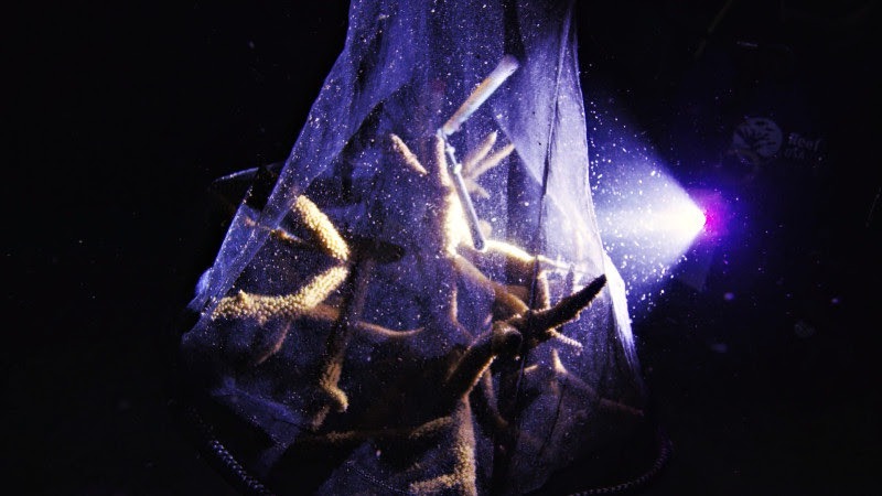 a bag with a light shining on it