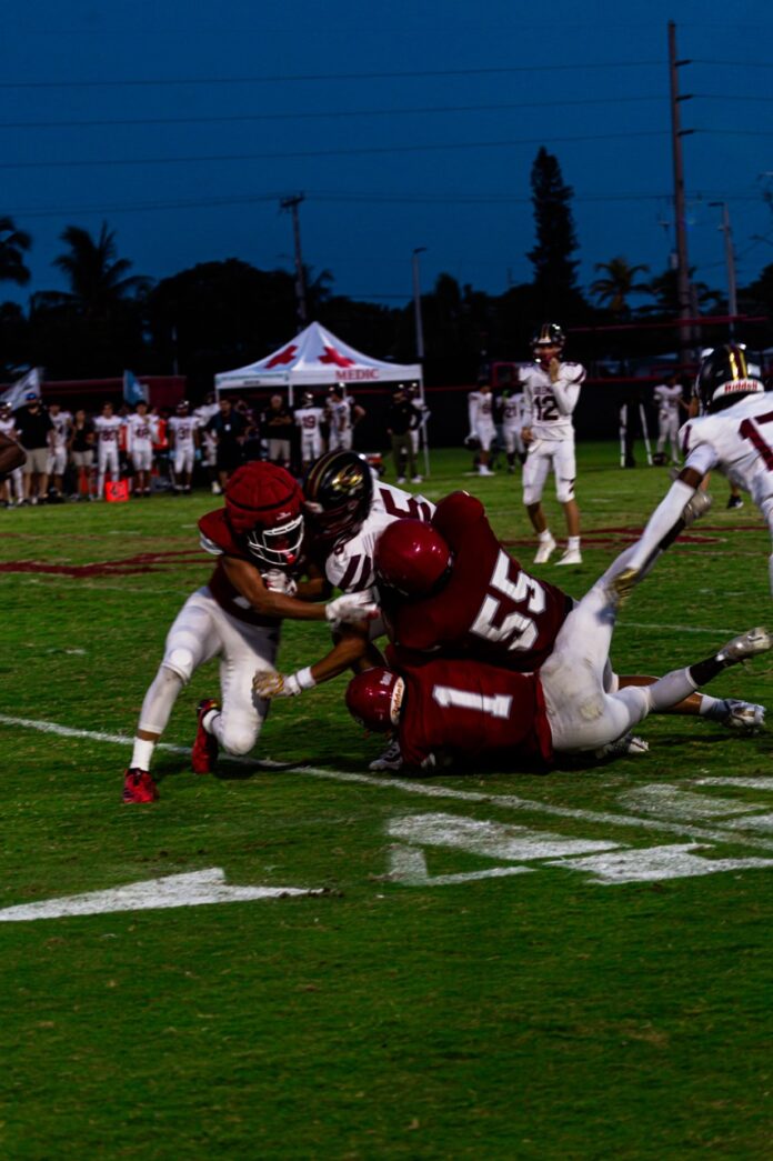 a football player dives into the end zone of a game