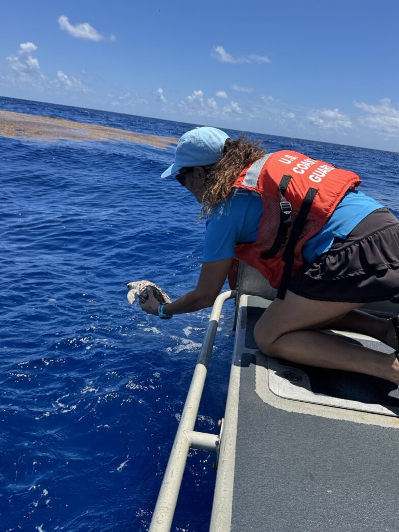a person on a boat looking at a fish
