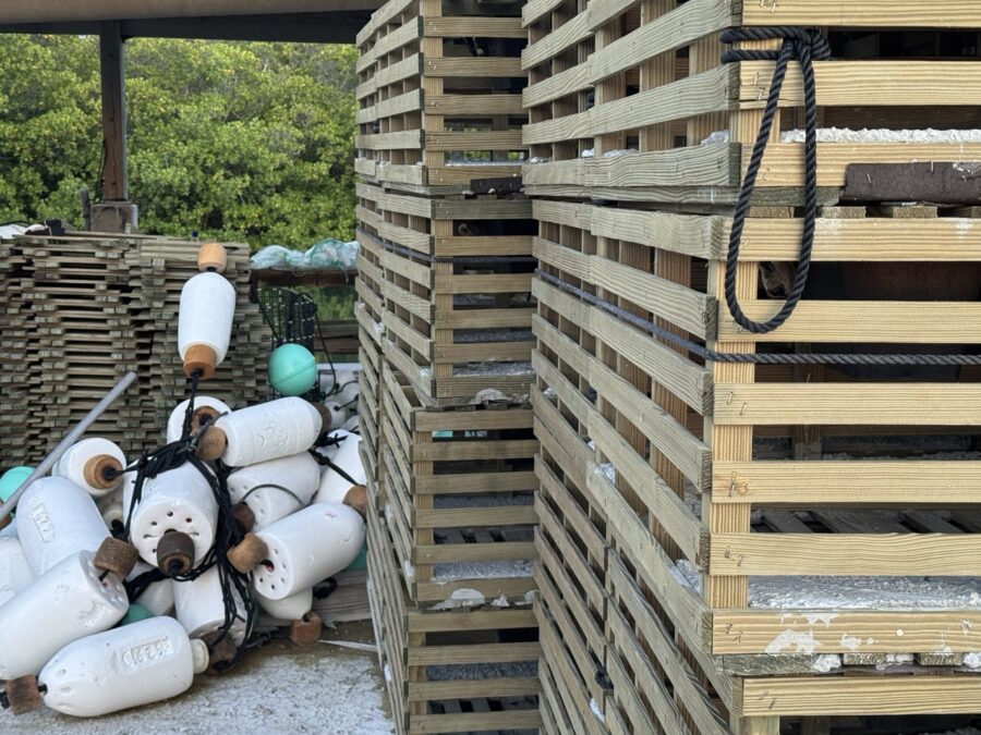 a pile of plastic bottles sitting on top of a wooden pallet