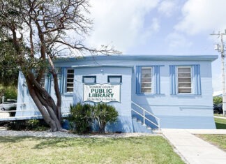 a blue building with a tree in front of it