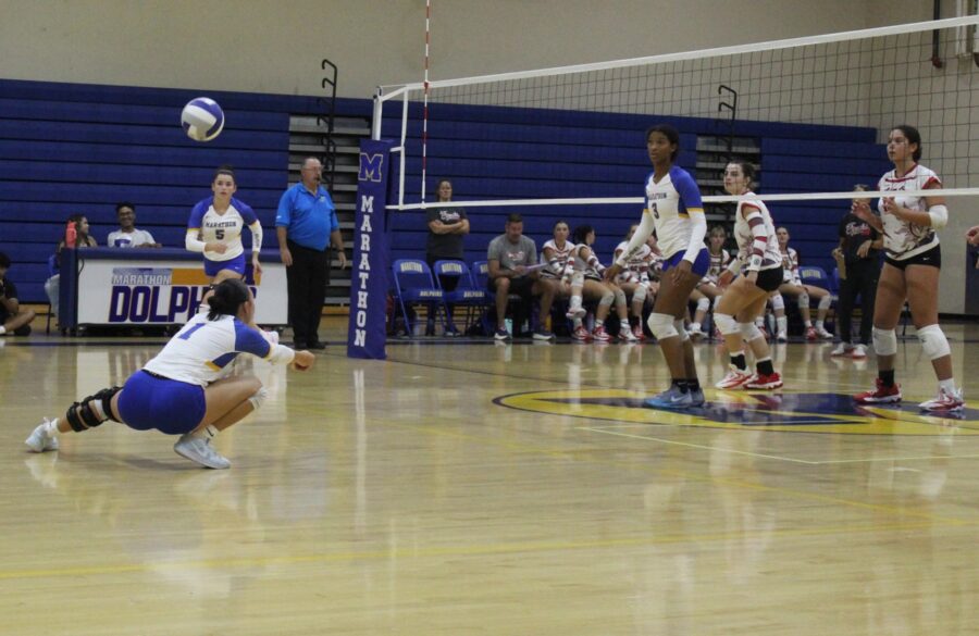 a group of women playing a game of volleyball