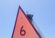 a street sign with a raccoon sticking out of it