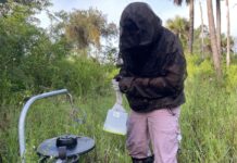 a person in a hooded jacket standing in a field
