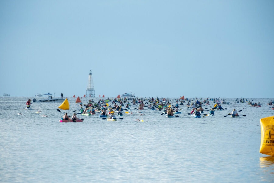 a large group of people in the water