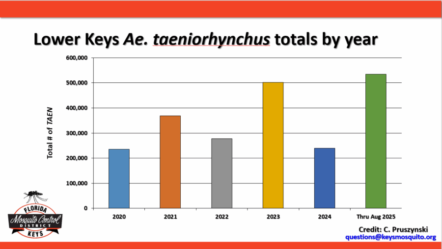 a bar chart with the number of items sold