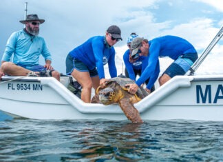 a group of people on a boat with a turtle
