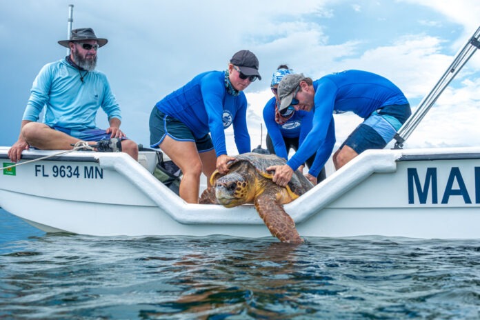 a group of people on a boat with a turtle