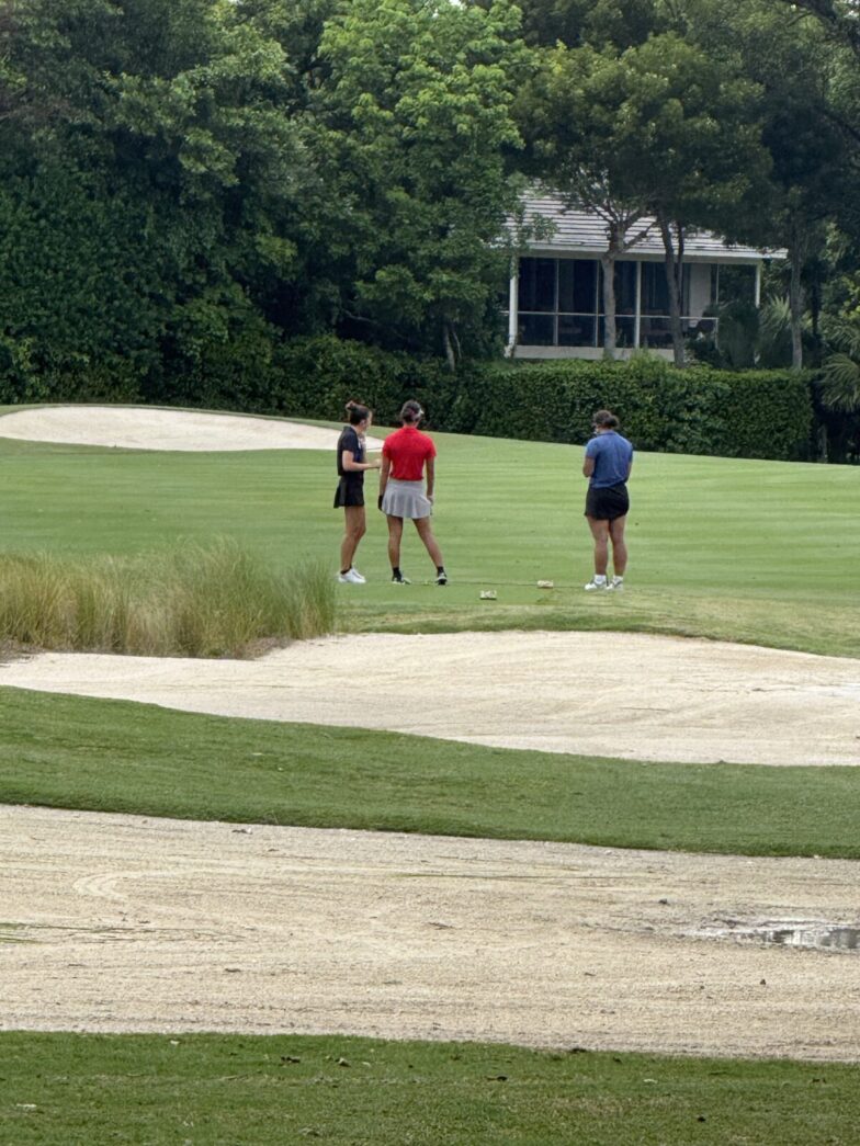 a group of people playing golf on a golf course