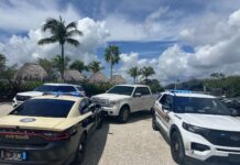 a couple of police cars parked in a parking lot