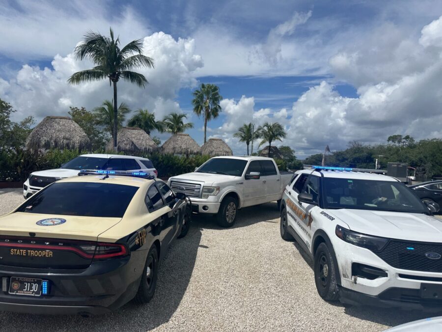 a couple of police cars parked in a parking lot