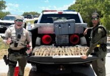 a couple of men standing next to a truck
