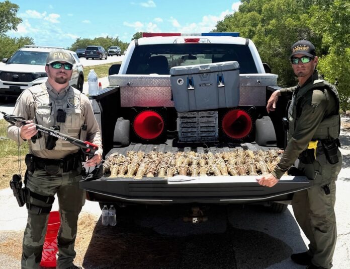 a couple of men standing next to a truck