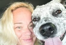 a woman is hugging a dog in the back of a car