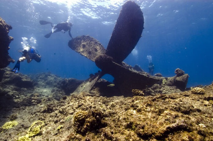 Quartette_03_noaa_casserley a group of people swimming over a coral reef