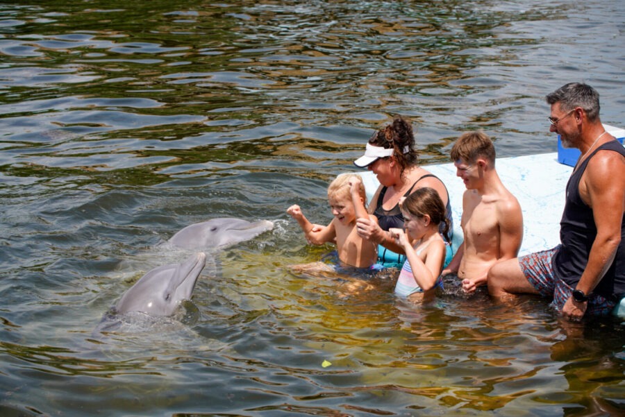 a group of people in the water with a dolphin