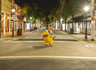 a person in a costume walking down a street