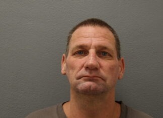 a man in a gray shirt is looking at the camera