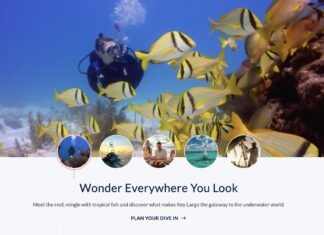 HIGH-TECH HOSPITALITY: KEYS TOURISM AGENCY LAUNCHES NEW WEBSITE a screen shot of a website with a scuba theme